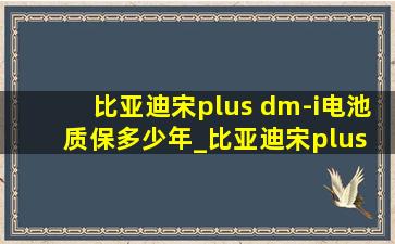 比亚迪宋plus dm-i电池质保多少年_比亚迪宋plus dm-i电池质保